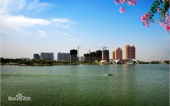 物流货物应该怎样选择物流公司